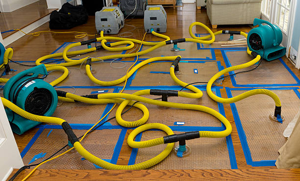 Professional Flood Damage Restoration technician working in Saint Gabriel, LA